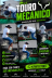 Touro mecânico 